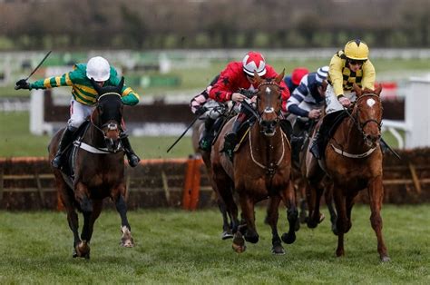 cheltenham racing offers.